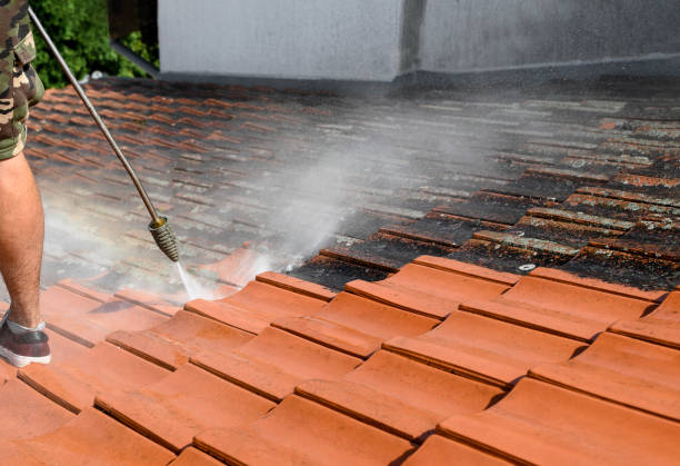 Best Local Pressure Washing Services  in Plainwell, MI